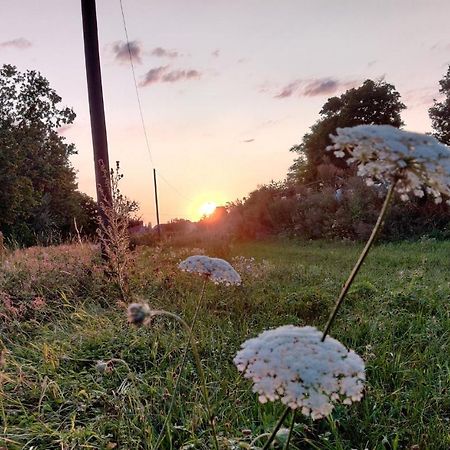 Ferienwohnung Am Hollergraben Oberschwarzach Exteriör bild